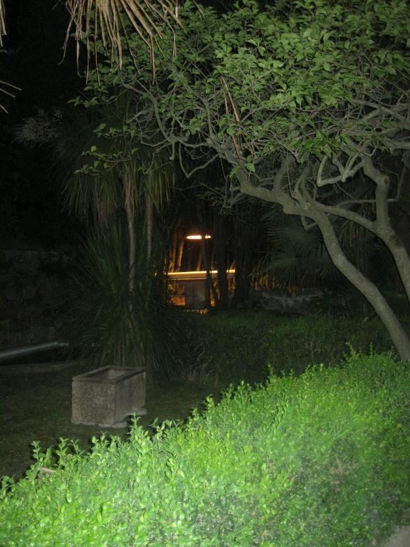 لوكا Villa Patrizia B&B المظهر الخارجي الصورة